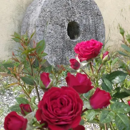 Il Giardino Di Julia Отель типа 