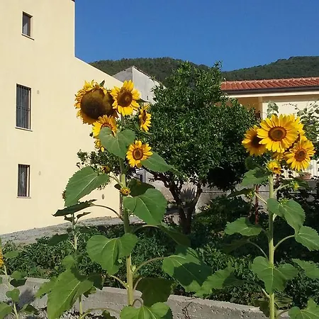 Il Giardino Di Julia B&B 3* Tortora