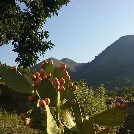 Frühstückspension Il Giardino Di Julia Tortora