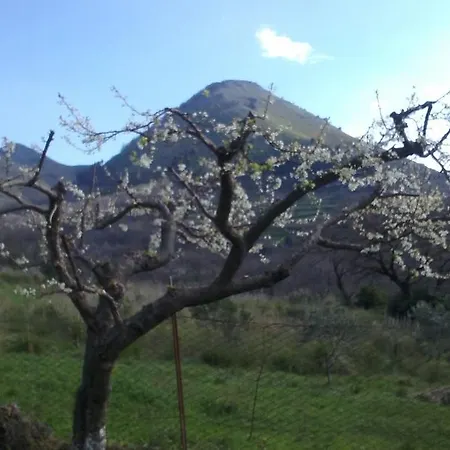 Bed & Breakfast Il Giardino Di Julia B&B