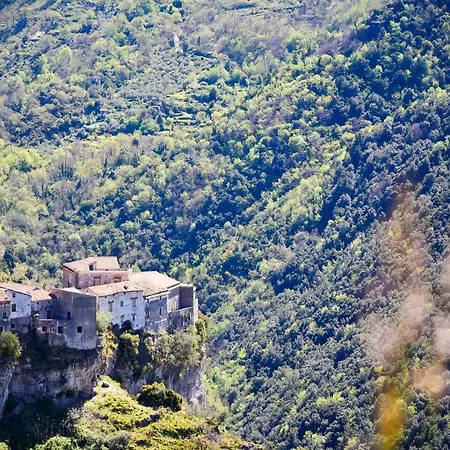 Il Giardino Di Julia Tortora