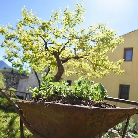 Il Giardino Di Julia Tortora