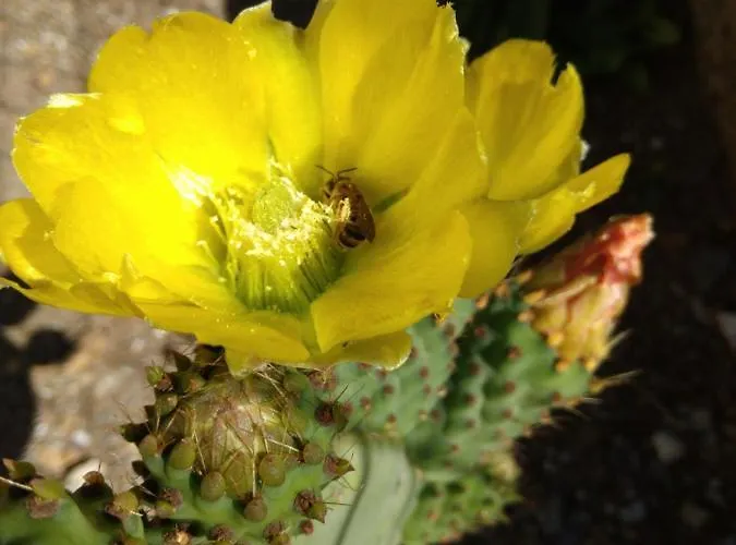 Il Giardino Di Julia 住宿加早餐酒店 托尔托拉