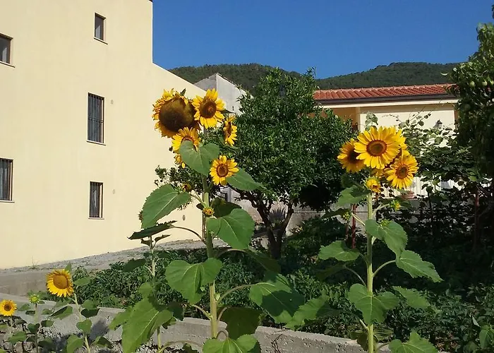 Il Giardino Di Julia 3* 托尔托拉