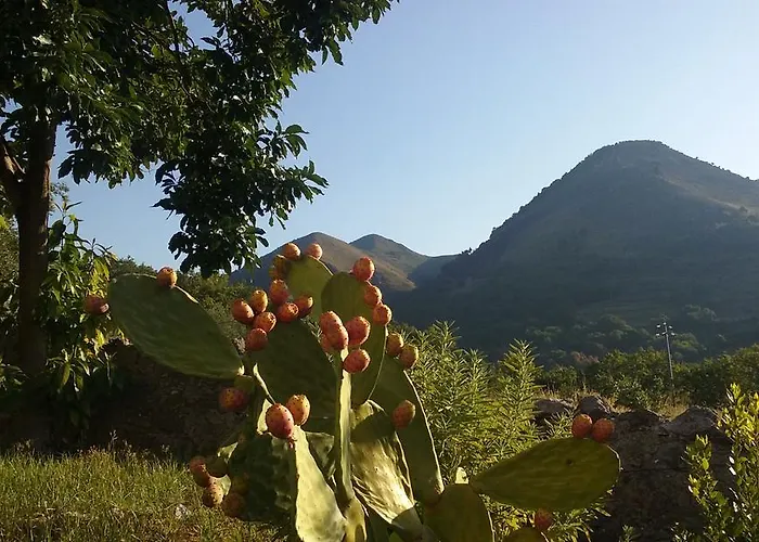 住宿加早餐酒店 Il Giardino Di Julia 托尔托拉