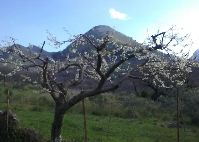 住宿加早餐酒店 Il Giardino Di Julia