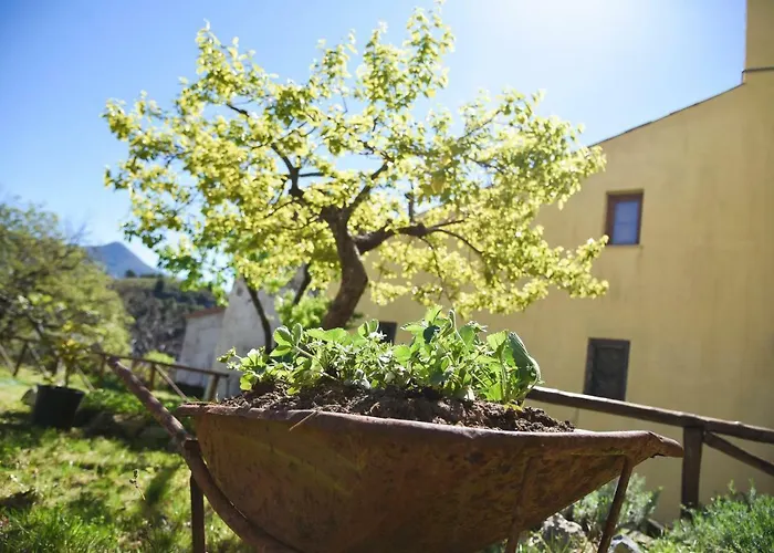 Il Giardino Di Julia 托尔托拉